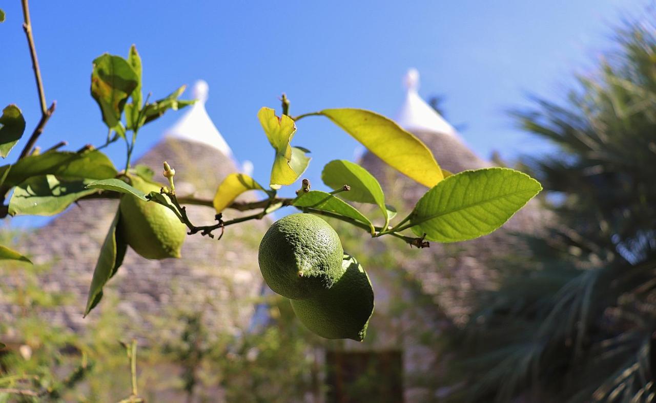 Trulli And Nature Antonelli ภายนอก รูปภาพ