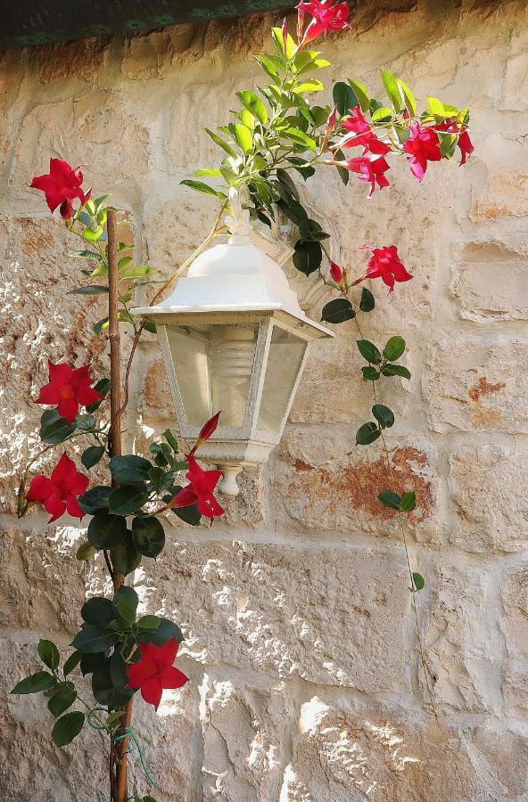 Trulli And Nature Antonelli ภายนอก รูปภาพ