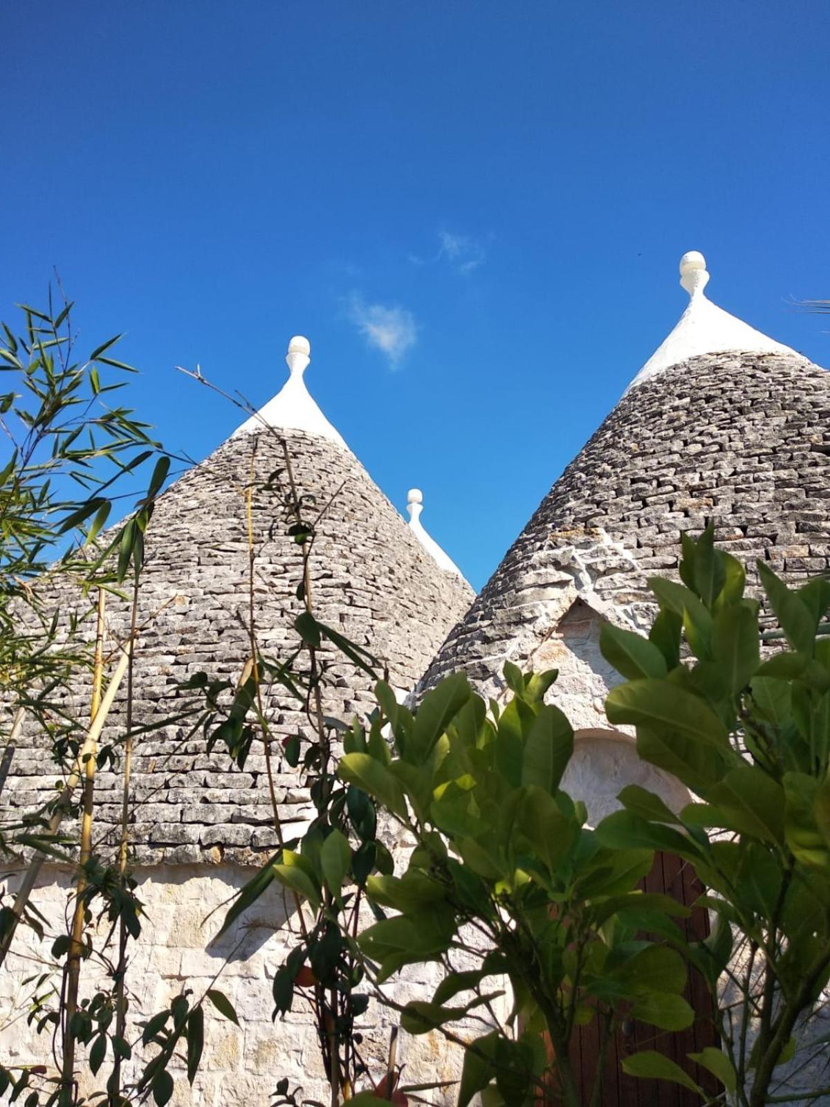 Trulli And Nature Antonelli ภายนอก รูปภาพ