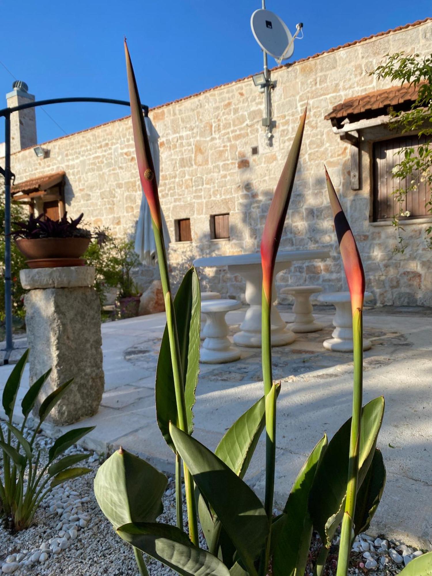 Trulli And Nature Antonelli ห้อง รูปภาพ