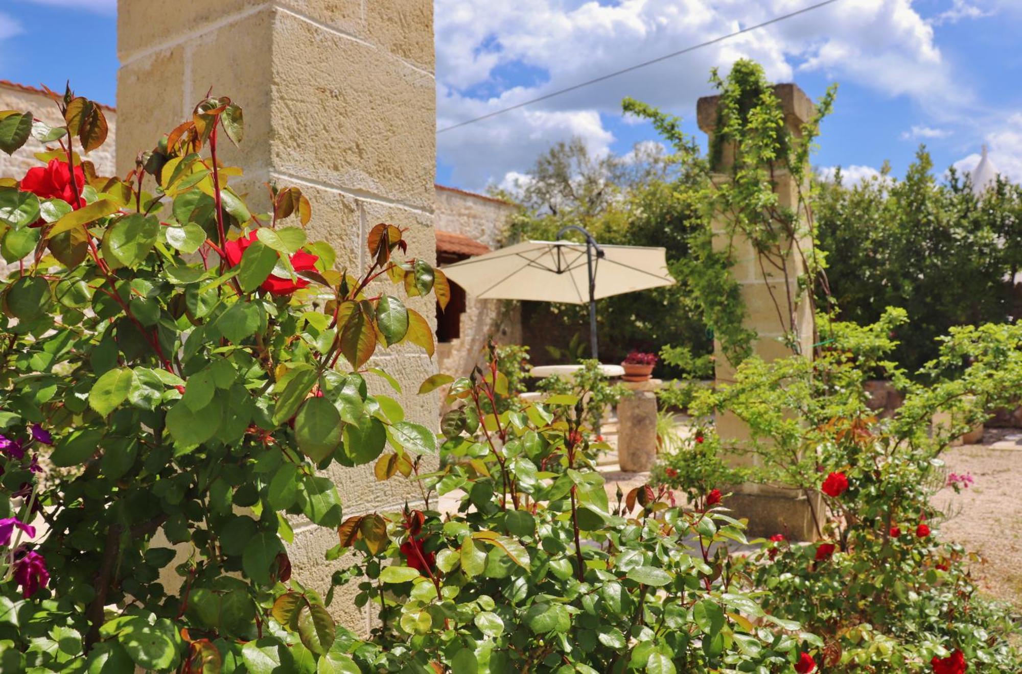 Trulli And Nature Antonelli ห้อง รูปภาพ