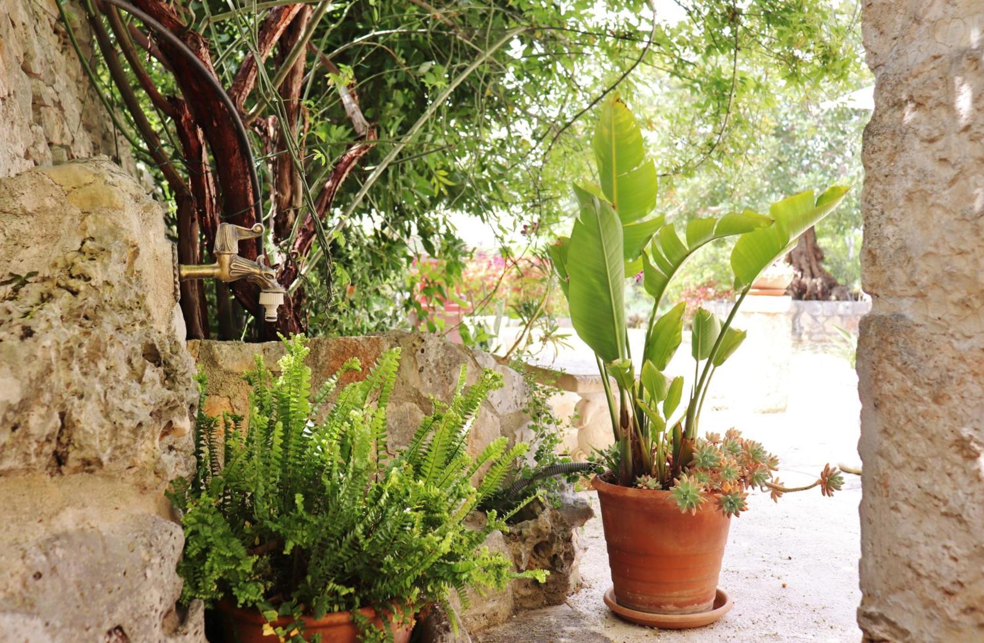 Trulli And Nature Antonelli ห้อง รูปภาพ