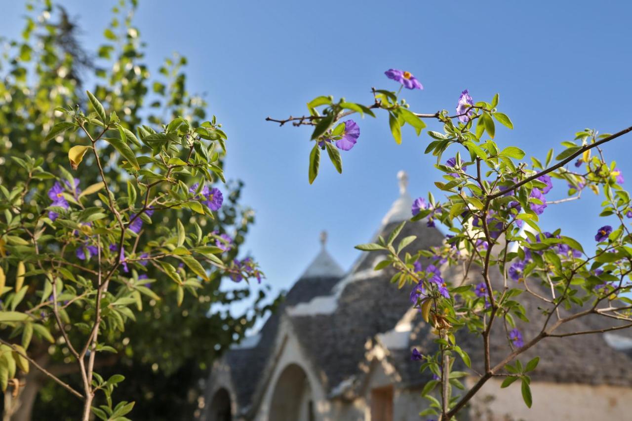 Trulli And Nature Antonelli ภายนอก รูปภาพ