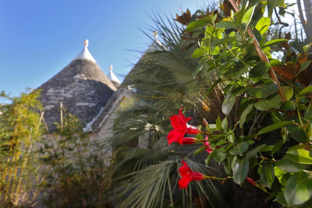 Trulli And Nature Antonelli ภายนอก รูปภาพ